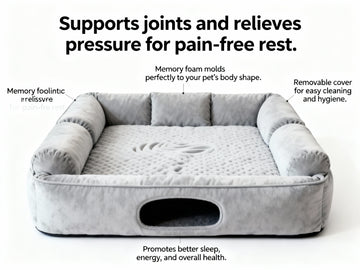 Transform Your Dog's Rest into Pure Bliss