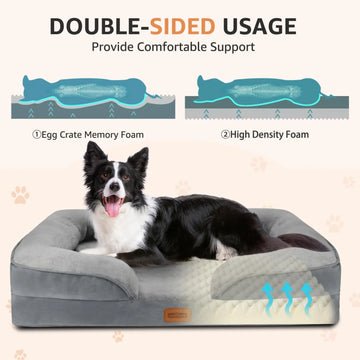 Transform Your Dog's Rest into Pure Bliss
